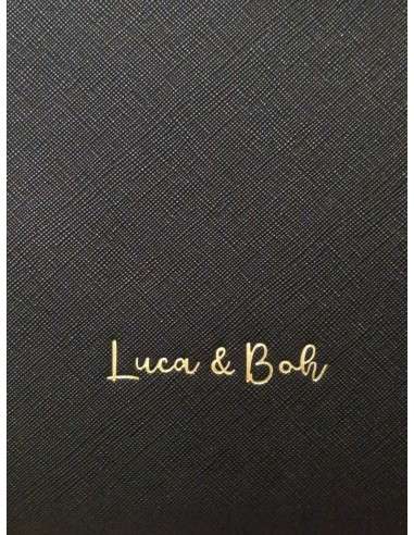 Necesser transparente