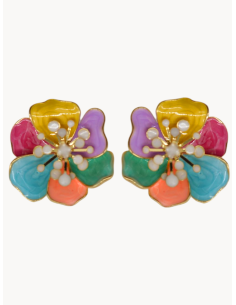 Brincos cores