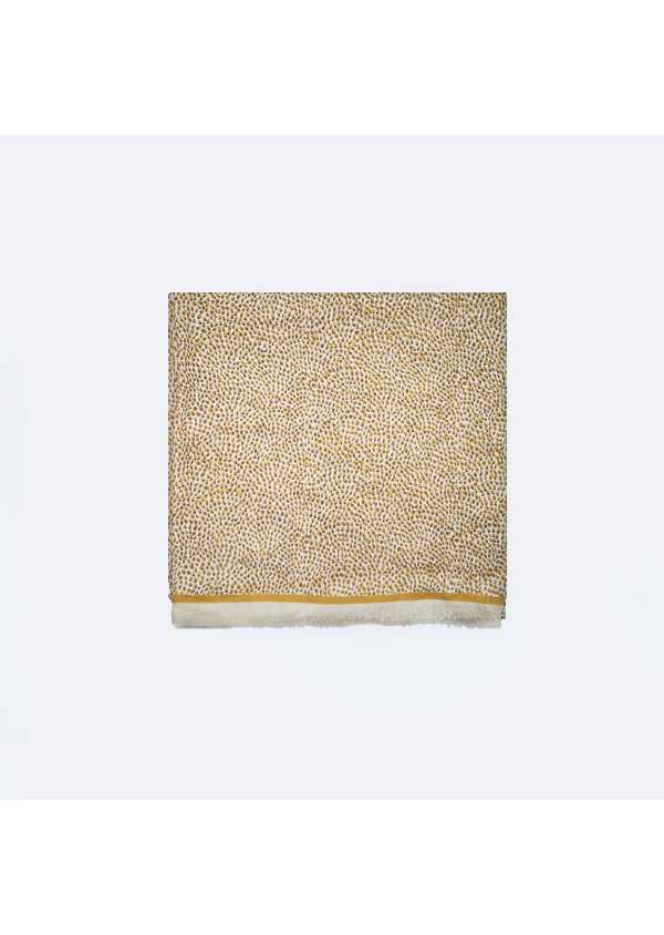 pachemina